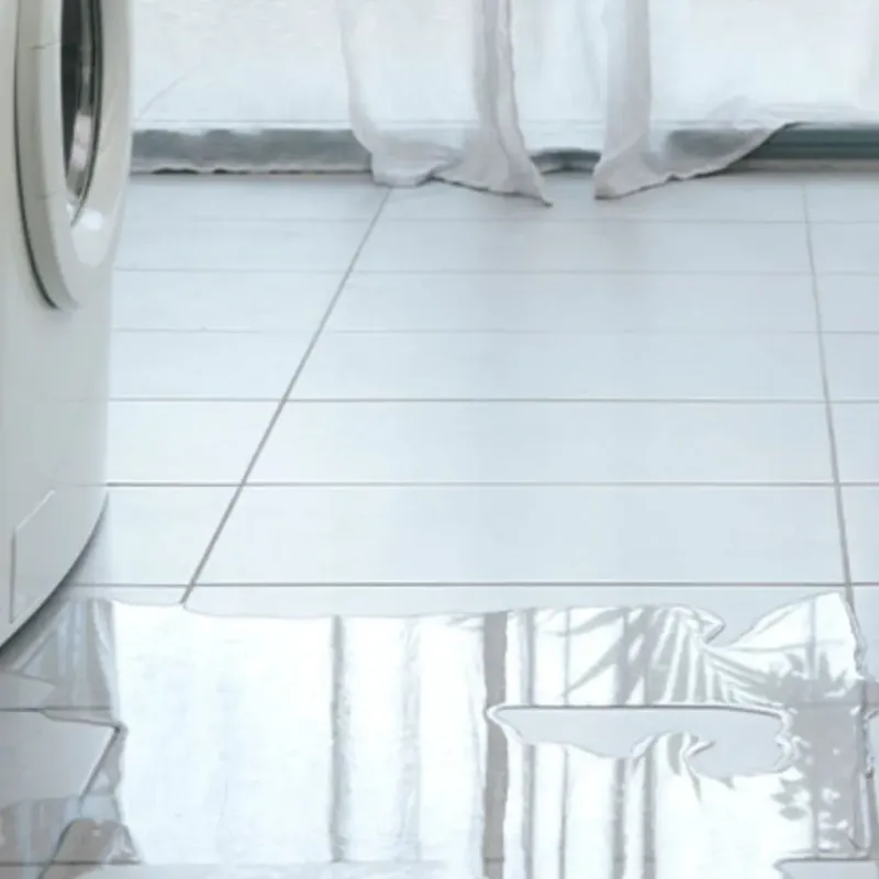 Appliance Leak Cleanup in Lynn, IN