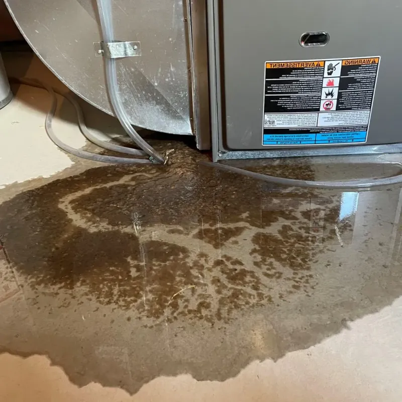 Pipe Burst and Leak Restoration in Lynn, IN